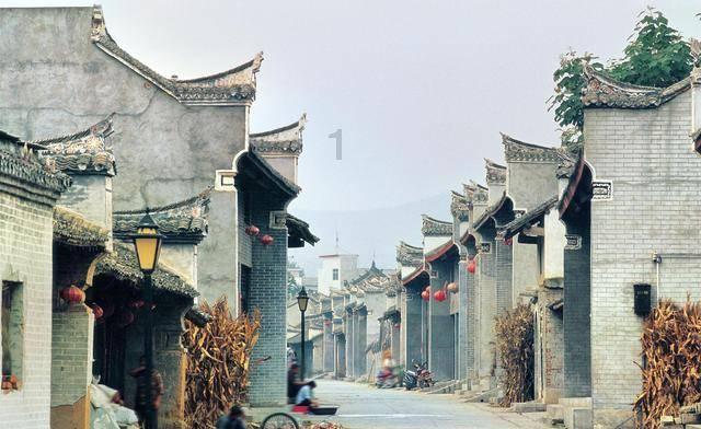 冷知识分享平台-凭理解代码理解万物吗?,发现更多有趣的冷知识